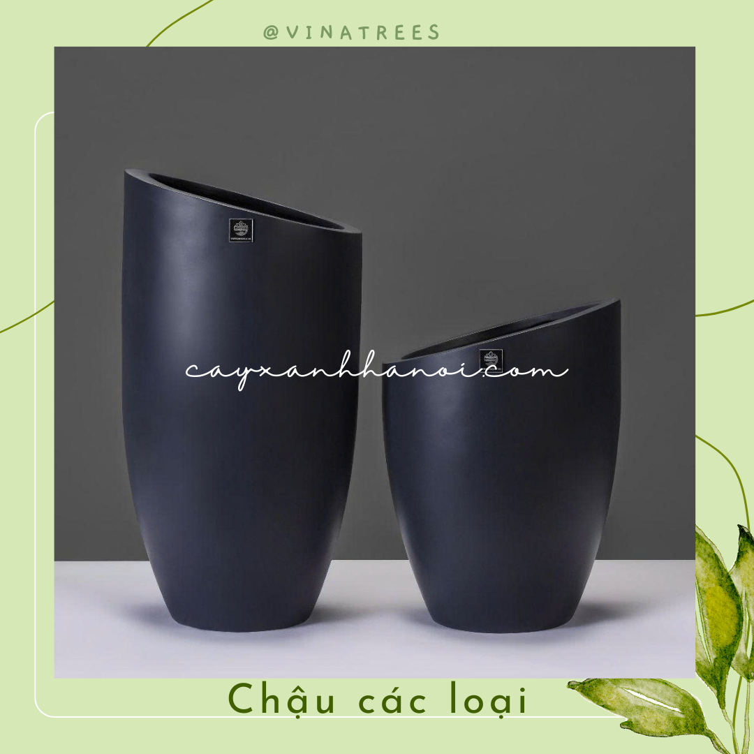 Chậu composite 13