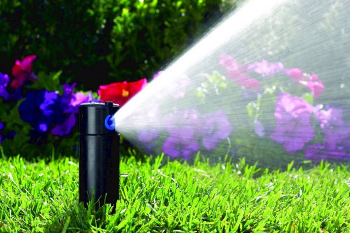 Tưới nước theo nhu cầu của từng loại cây - Hướng dẫn chăm sóc sân vườn nhà bạn